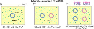 Modeling Cell Selectivity of Antimicrobial Peptides: How Is the Selectivity Influenced by Intracellular Peptide Uptake and Cell Density